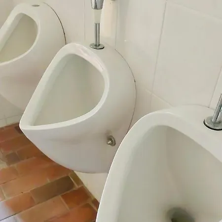 Apartment Erholung Im Schloß- Wc, Dusch, Bar- Gemeinsame Nutzung Fockelberg